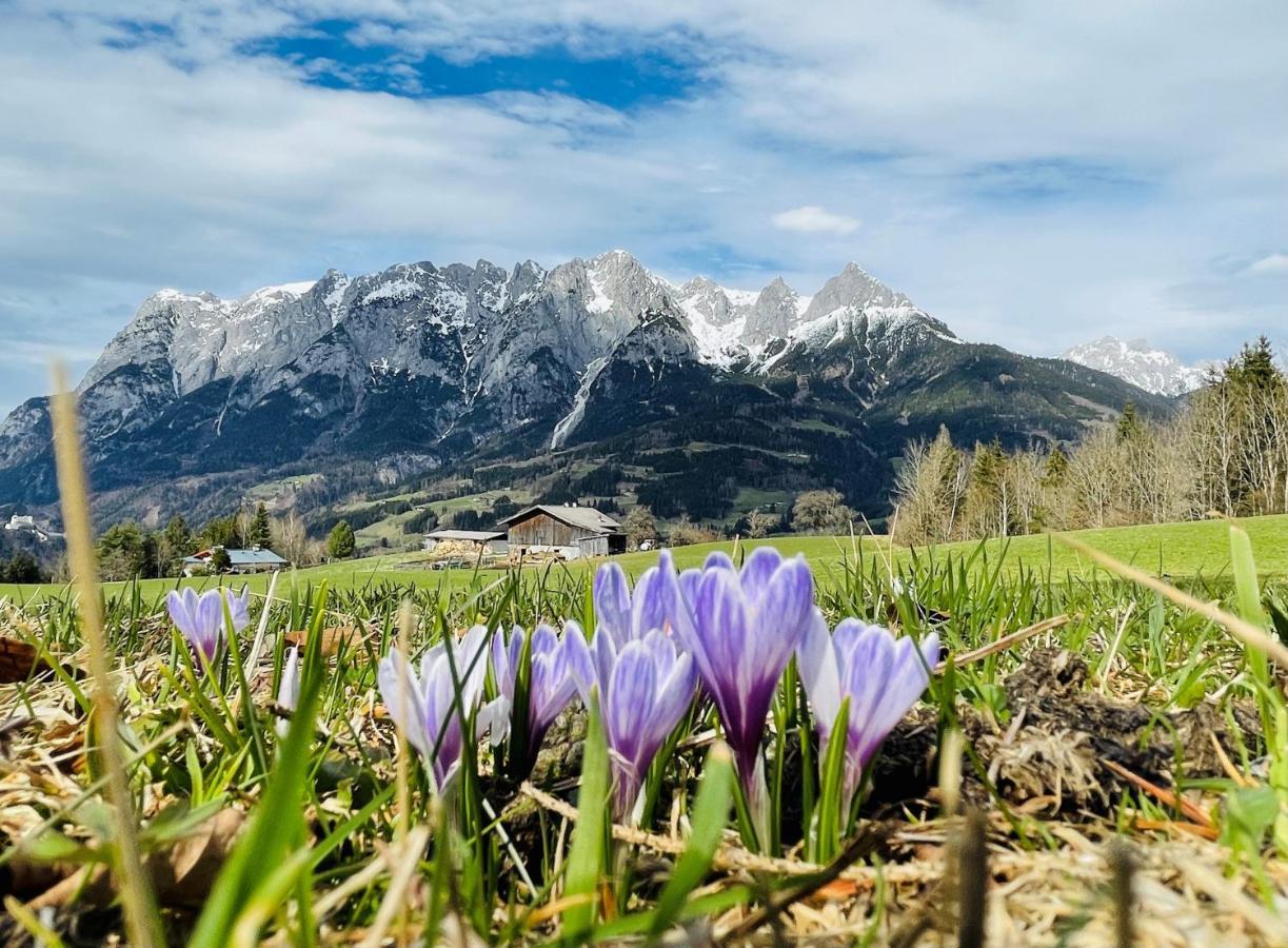 Landgasthof Reitsamerhof Werfen Exteriér fotografie